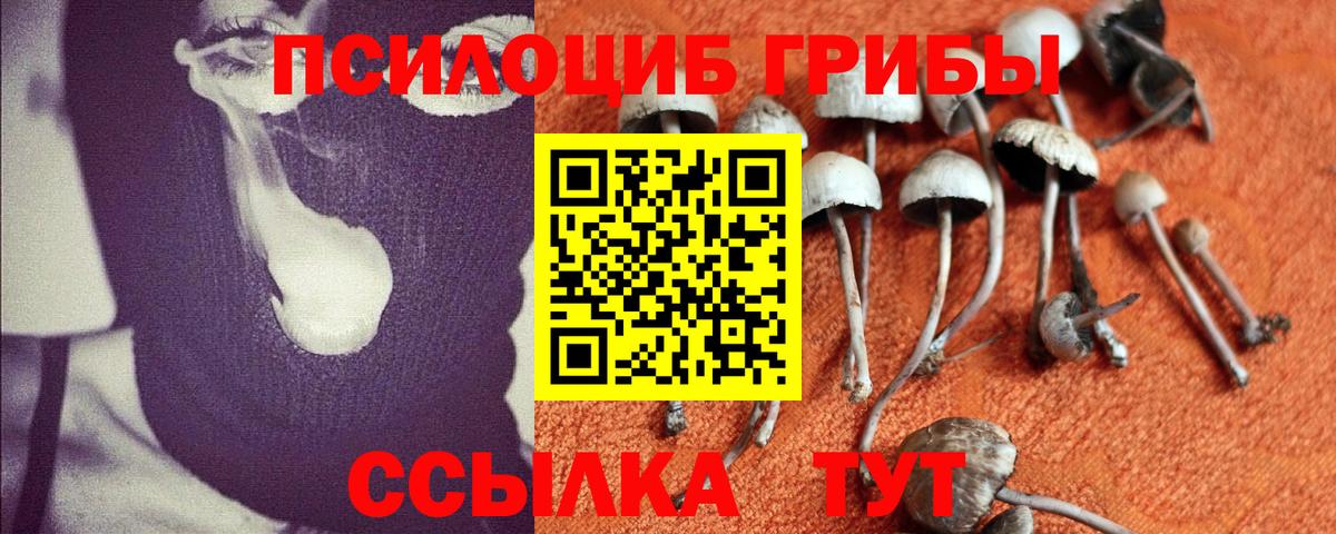 Галлюциногенные грибы GOLDEN TEACHER Чехов