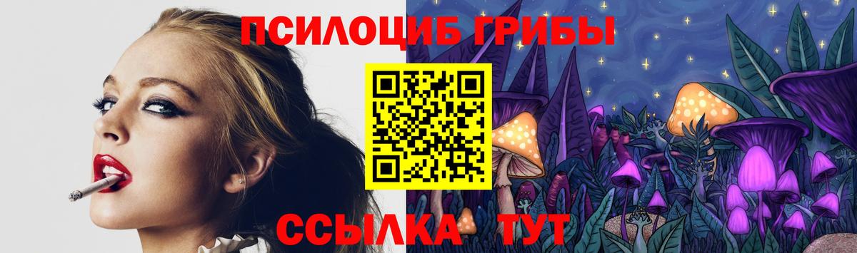 Галлюциногенные грибы мицелий  наркошоп  Чехов  Галлюциногенные грибы MAGIC MUSHROOMS  Вход с VPN 